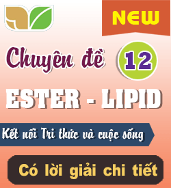 Ester - Lipid (KNTT_B1)